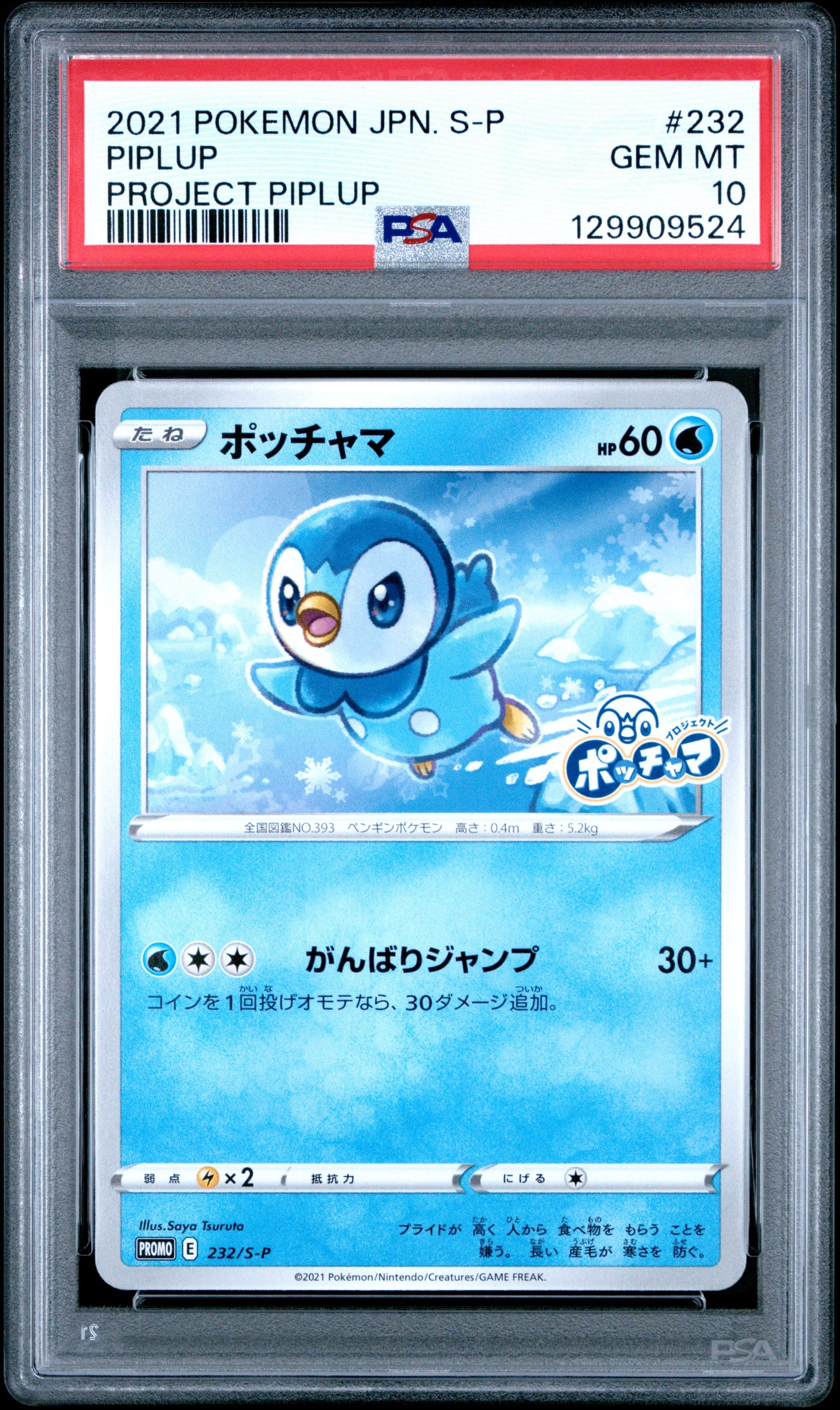 PSA 10 PIPLUP PROJECT PIPLUP